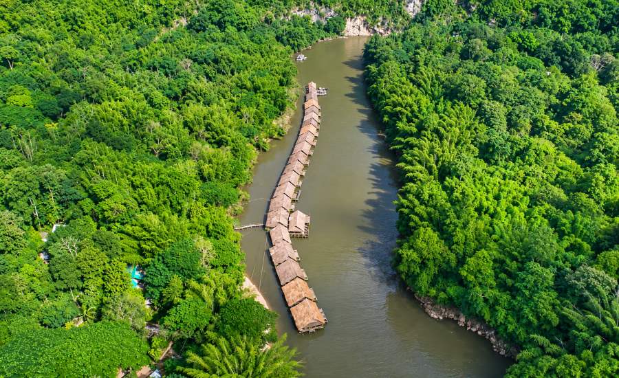 Les forêts tropicales du parc